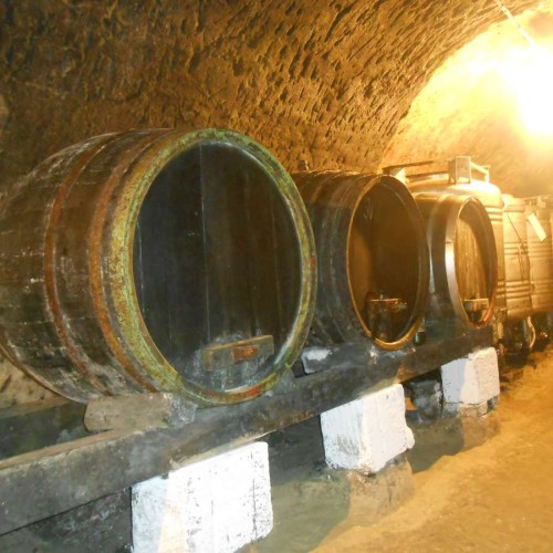 Vinný sklep - Vinařství Vrba Vrbovec u Znojma 11