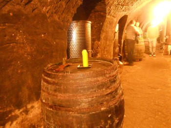 Vinný sklep - Vinařství Vrba Vrbovec u Znojma 10